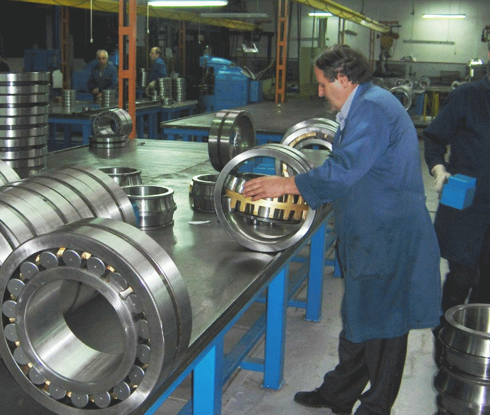 "Rulmenţi" Bârlad ţinteşte afaceri de un miliard de dolari, până în 2023