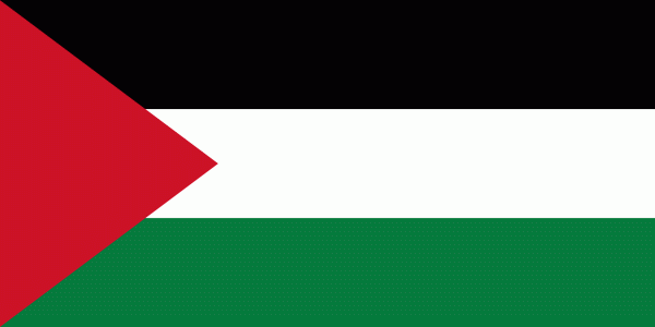 Palestina a devenit stat observator nemembru la ONU