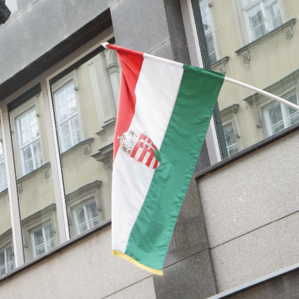 Ungaria va lansa o emisiune de obligaţiuni în dolari