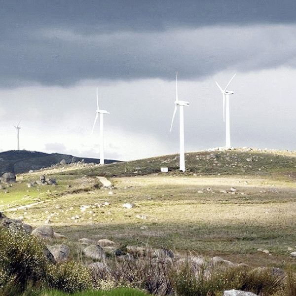 Marii consumatori ascut săbiile împotriva producătorilor de energie verde