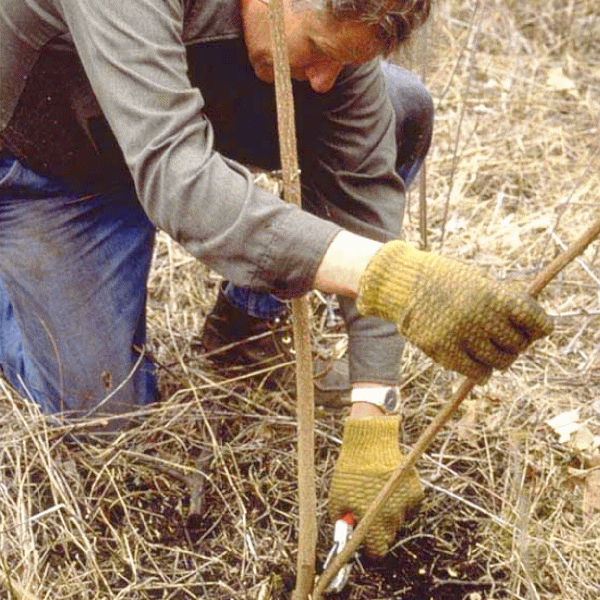Subvenţii de un miliard de euro pentru agricultori