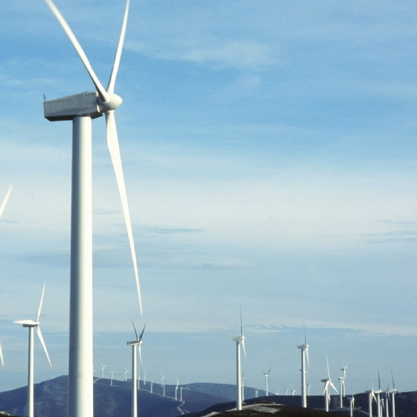 Ernst & Young: "Creştere de cinci ori a investiţiilor mondiale în energia verde"