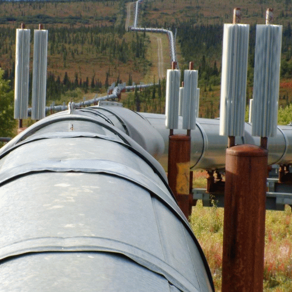Conpet şi Gazprom plănuiesc să construiască oleoductul Piteşti - Pancevo