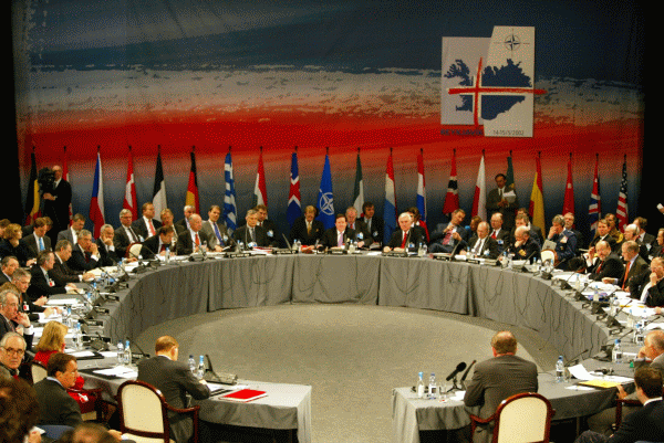 Mircea Duşa: "2014, un reper definitoriu pentru Alianţa Nord Atlantică"