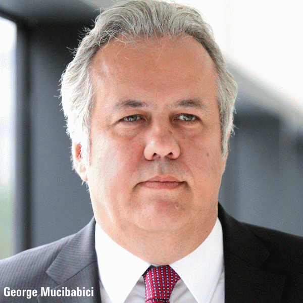 Mucibabici to replace Gheţea as CEO of CEC Bank?