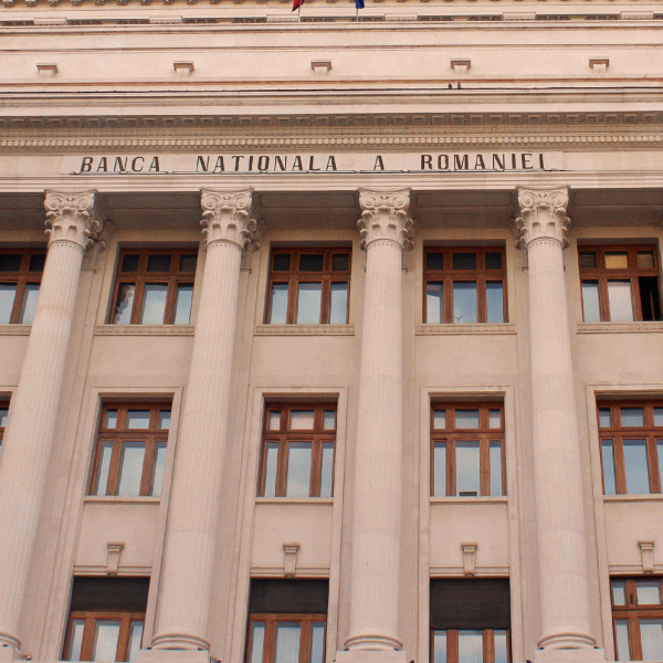 "Nu poţi să intri nepregătit în zona euro"