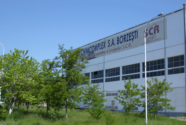 "Chimcomplex poate concura cu succes la preluarea Oltchim"