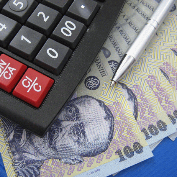 Finanţele au atras 13,5 milioane lei, într-o licitaţie suplimentară