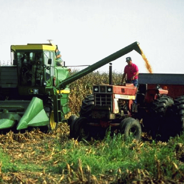 Fondul mutual agricol, contestat de reprezentanţii fermierilor