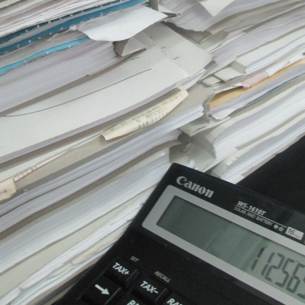 Curtea de Conturi: "Persistă deficienţele AAAS în monitorizarea privatizărilor"