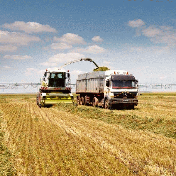 Cantitatea de îngrăşăminte chimice folosite în agricultură a crescut constant, în ultimii ani 