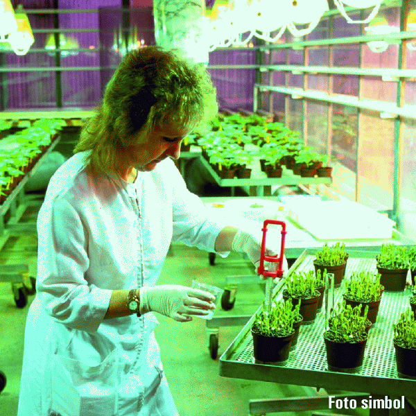 Trei pesticide pot fi utilizate în continuare de agricultori, până în iunie 2014
