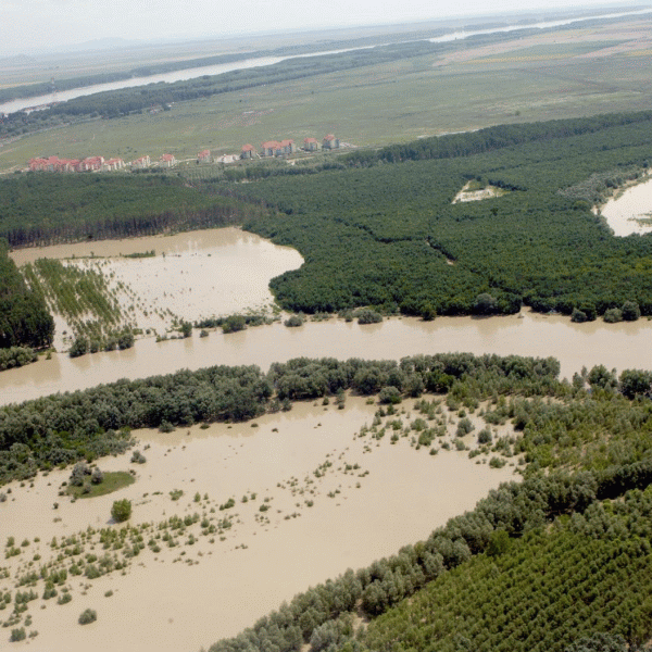 Autorităţile ne liniştesc, fermierii sunt pesimişti