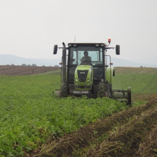 "Transilvania, neatractivă pentru investiţii în terenuri agricole"
