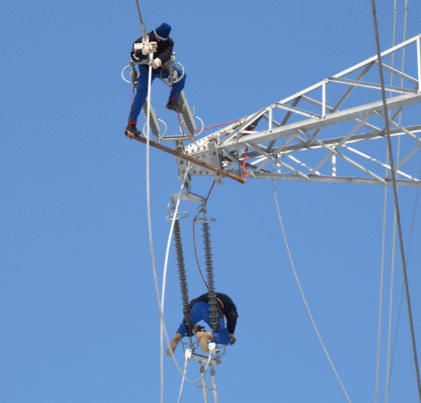 11 lei/acţiune, preţul minim pentru Electrica