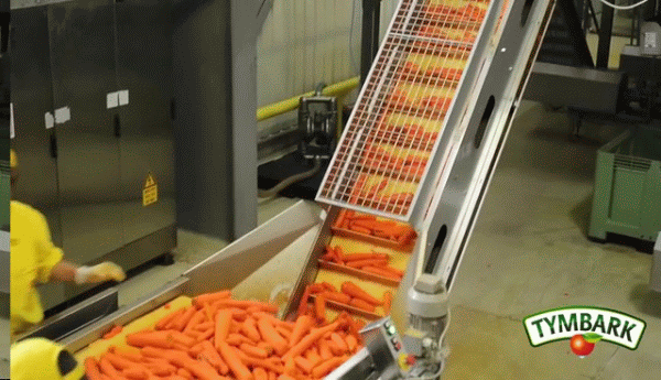 Imagine din secţia de producţie a sucurilor din legume şi fructe.