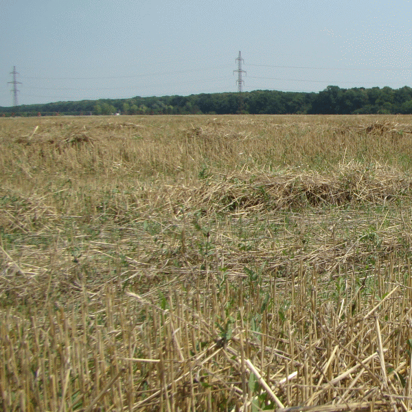 Saltul agriculturii de la carul cu boi la drone