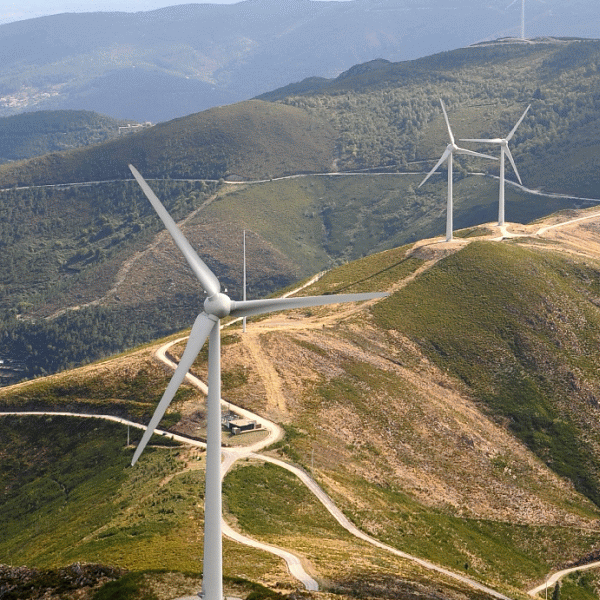 Ezpada a cumpărat energie eoliană cu 207 lei/MWh