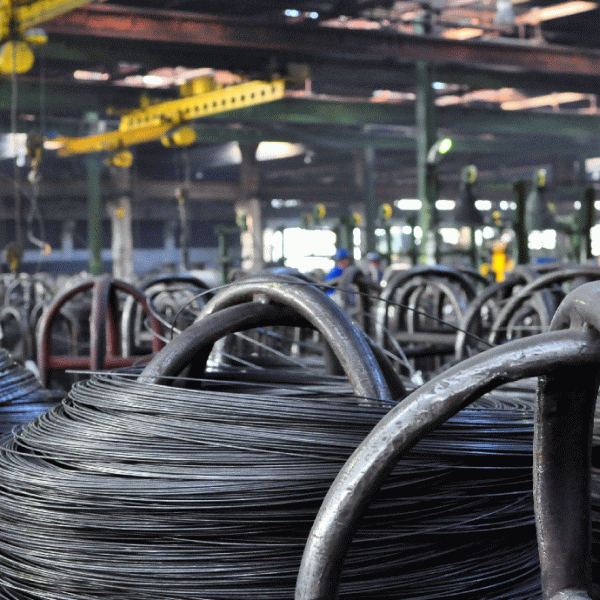 "În scurt timp, Laminorul Brăila va deveni punct de lucru al Ductil Steel Buzău"