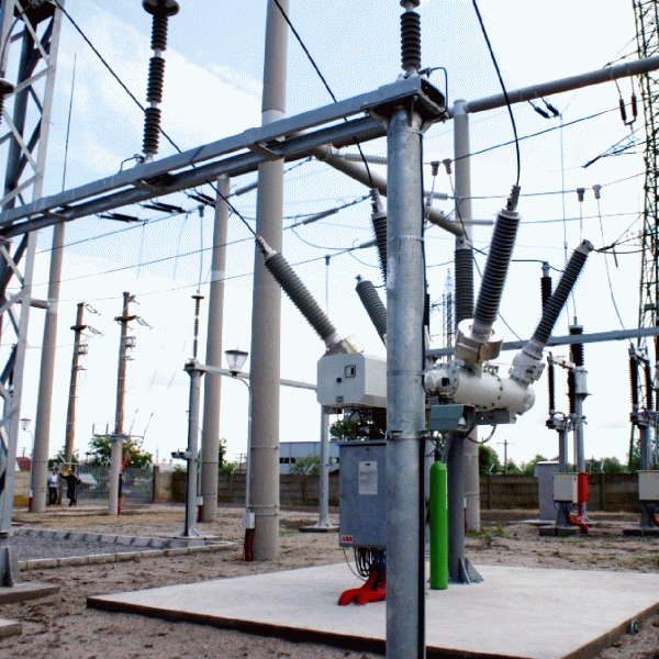 Chinezii bat în retragere din cursa preluării activelor ENEL România