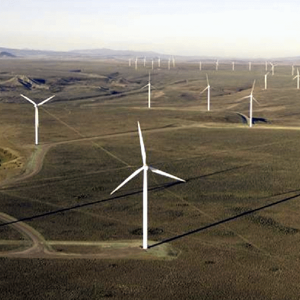 Aviz favorabil pentru deschiderea pieţei de certificate verzi către producătorii străini