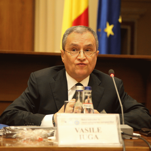 Vasile Iuga: "Uniunea Energetică va face statele mai puternice în relaţia cu Rusia"