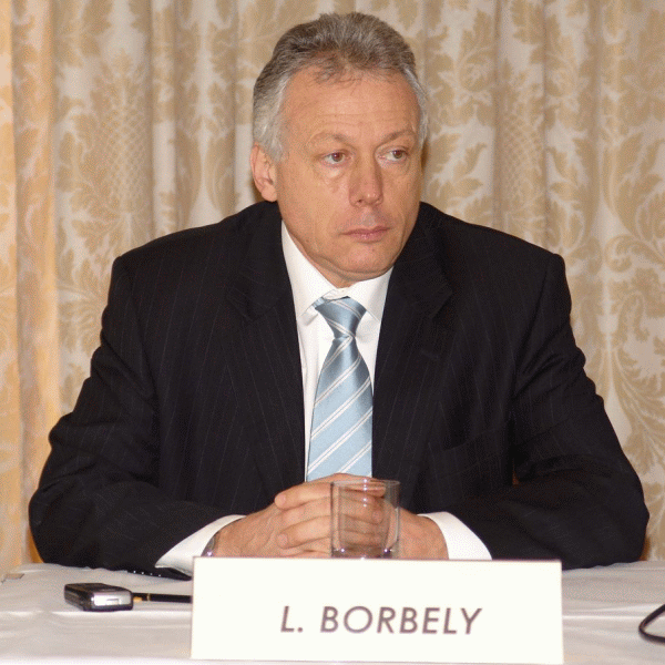 Parlamentarii îl scapă pe Borbely 