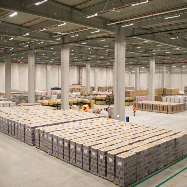 KLG România estimează afaceri de 27,5 milioane euro, în 2015