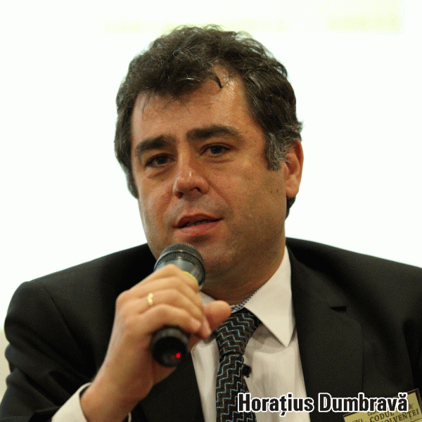 "Bine ar fi ca intervenţia statului în economie să aibă succesul Simonei Halep"