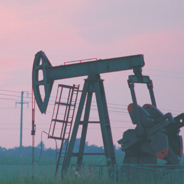 OPEC îşi menţine estimările pentru cererea globală de petrol în 2015