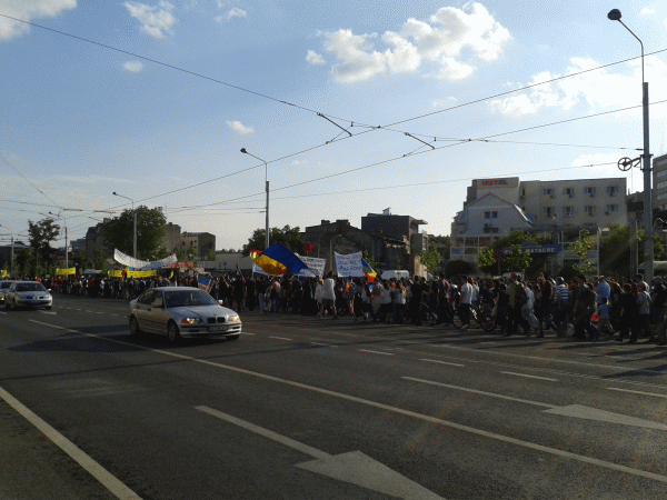Peste 2.000 de persoane protestează împotriva despăduririlor abuzive