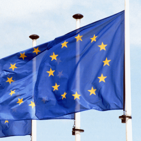 "Statele din zona euro ar trebui să poată intra în faliment"