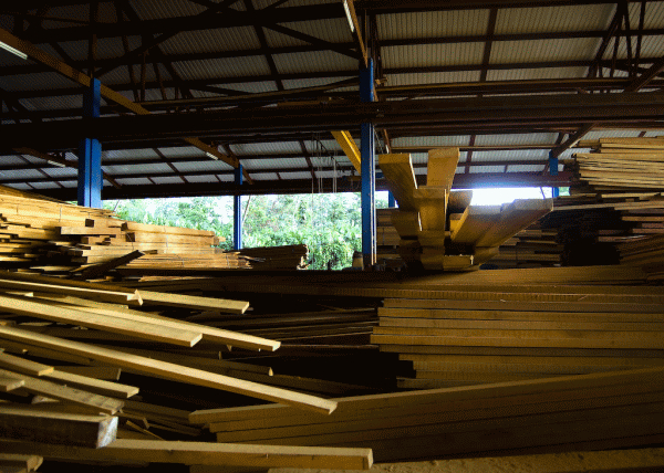 "Holzindustrie Schweighofer, verificată pentru prelucrarea lemnului"