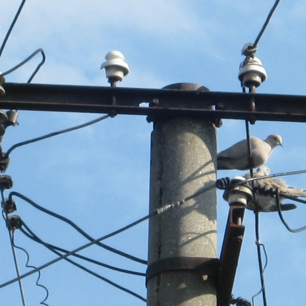 Tariful binom ne va majora factura energiei