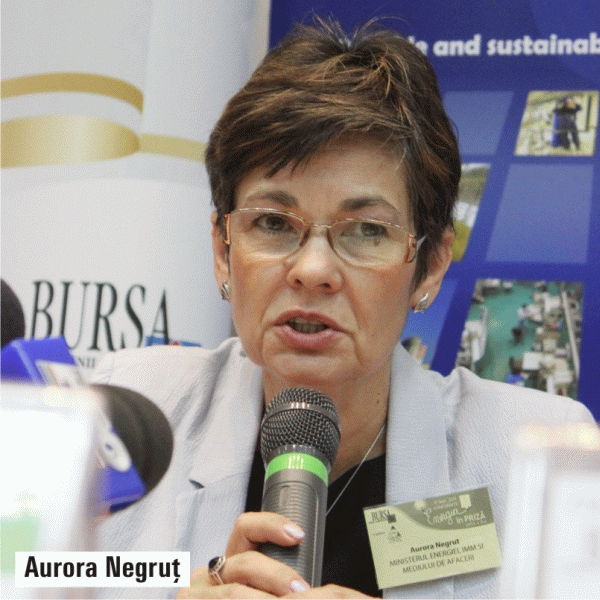 "Evoluţia companiilor energetice pe bursă a fost una bună"