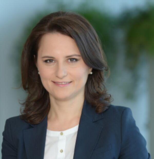 Angelei Manolache - Partener în departamentul de consultanţă KPMG