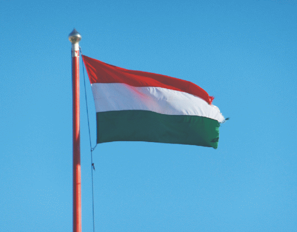 Ungaria le va cere băncilor rezerve suplimentare pentru creditele neperformante mari