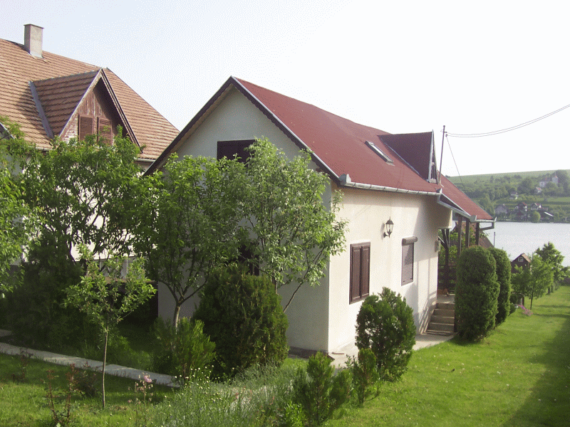 Băncile se sinucid înaintea dării în plată?