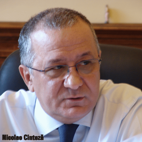 Şeful supravegherii BNR, Nicolae Cinteză, propus pentru audieri în Senat