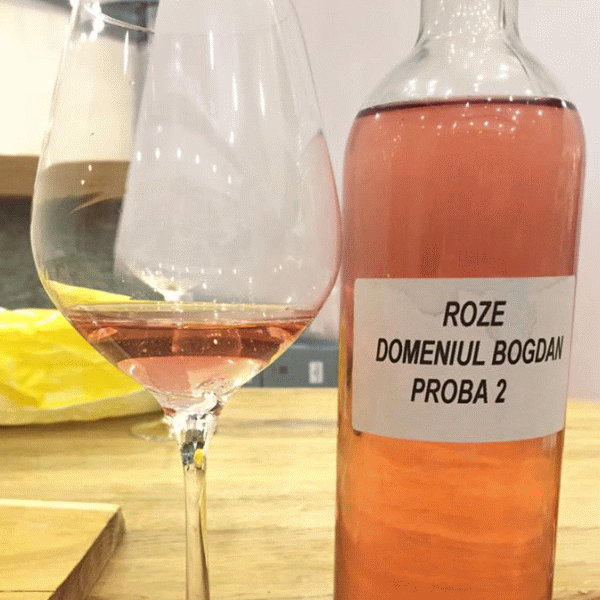 "Domeniul Bogdan" aduce vinurile biodinamice în România