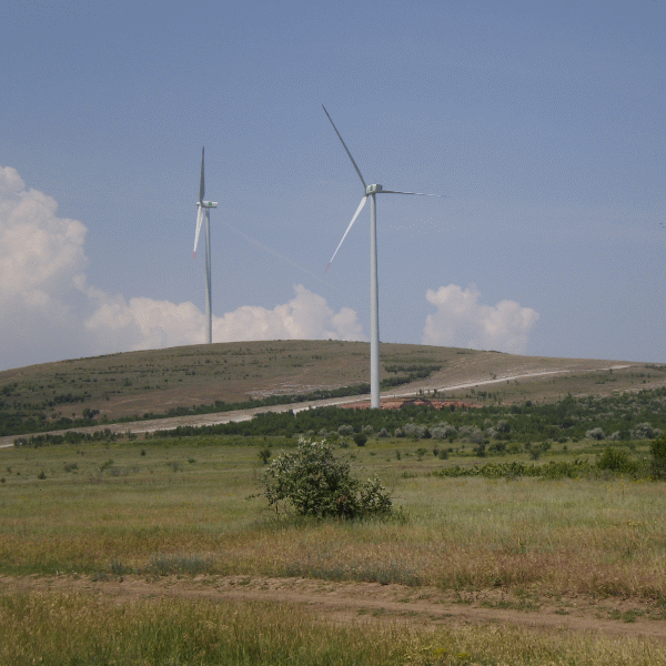 "Tehnologia va permite regenerabilelor să intre pe piaţă fără schemă suport"