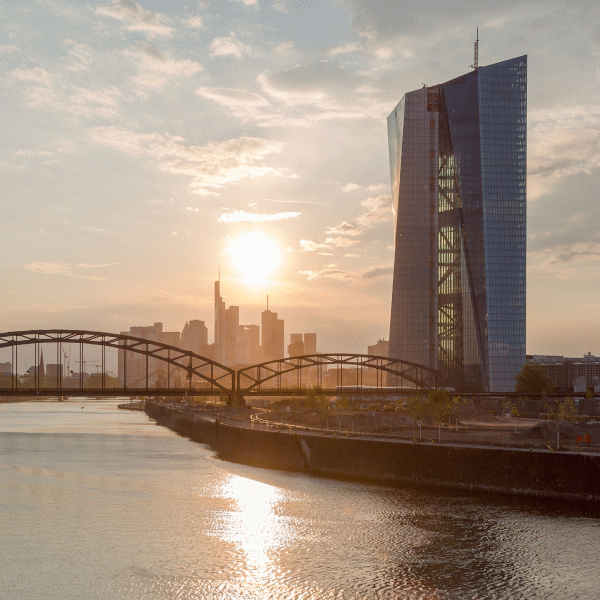 BCE va ghida băncile cum să-şi rezolve problemele creditelor neperformante înainte de a le impune ţinte