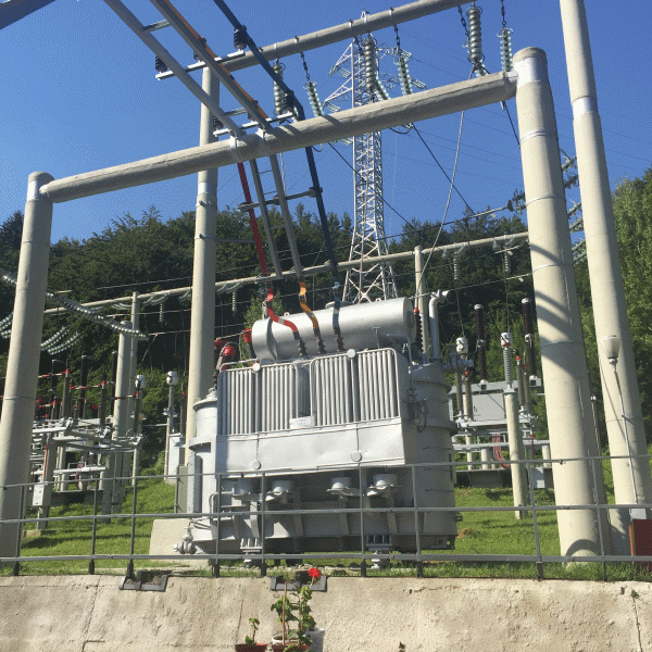 Ioan Dobre, directorul Electrica Transilvania Sud: "Avem un program de investiţii de 260 de milioane de lei"