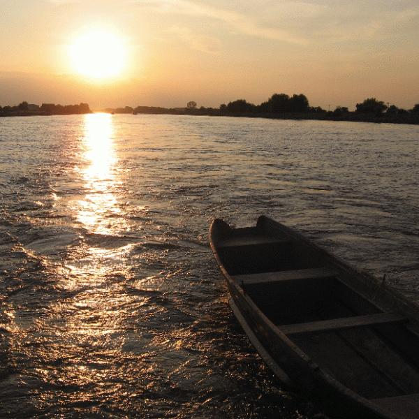 Turiştii străini veniţi pe litoralul românesc preferă excursiile opţionale în Delta Dunării