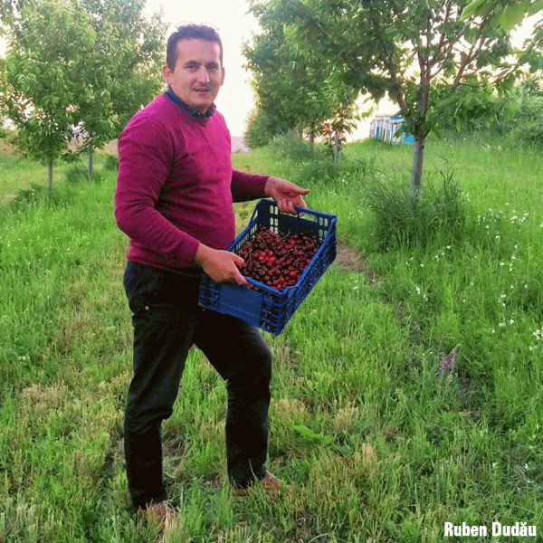 Ruben Budău: "Potenţialul agriculturii româneşti este enorm"