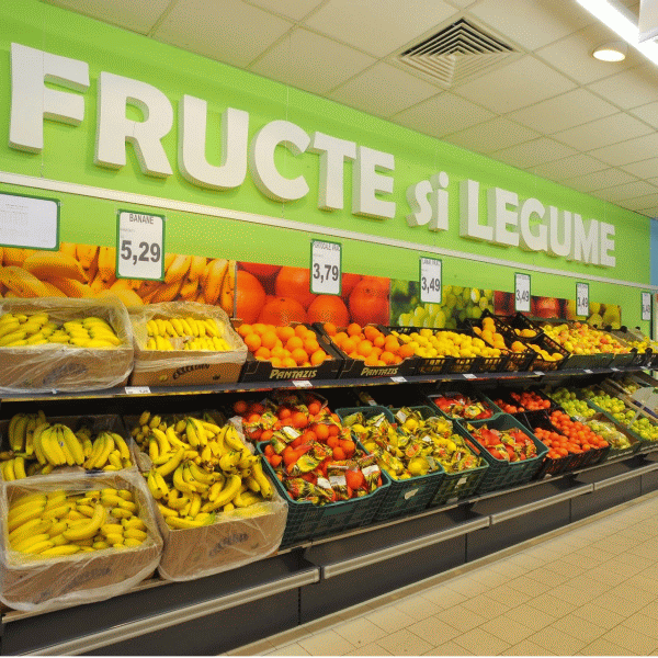 Retailerii cumpără legume din Glodeanu Sărat şi răsaduri de la Staţiunea de Cercetare