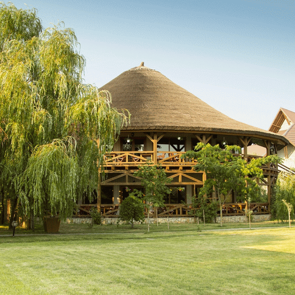 Green Village, cifră de afaceri de peste 1,5 milioane de euro