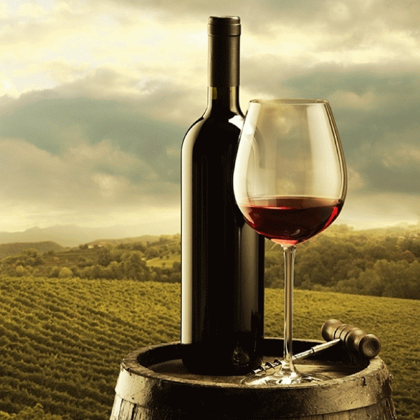 În 2016, producţia de vin a ţării noastre a crescut cu 37% 
