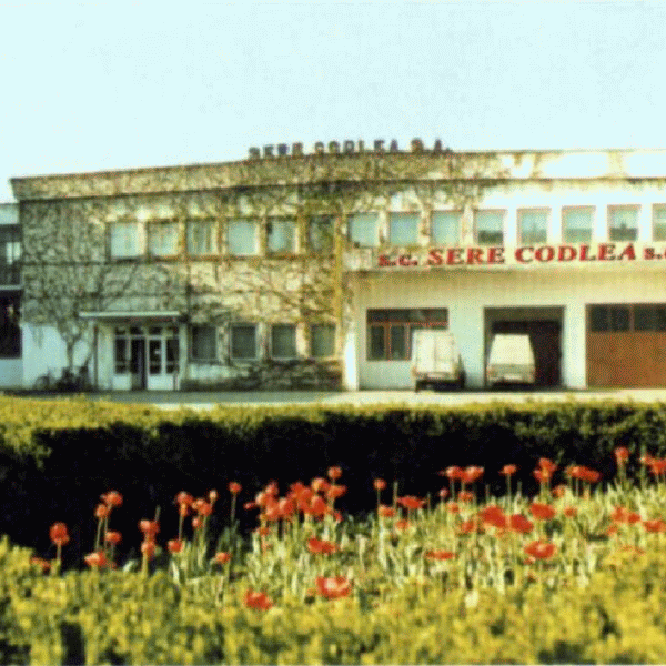 Femeia care a devalizat Sere Codlea a mai primit şase ani de închisoare