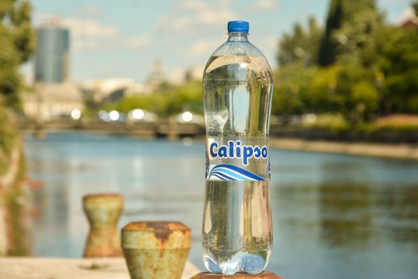 Calipso a înregistrat afaceri în creştere cu 13%